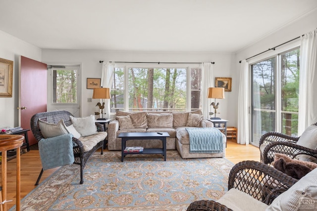 1236 Lakeview Rd, Copake, NY 12516 - living room with plenty of natural light, light wood-style flooring, and crown molding
