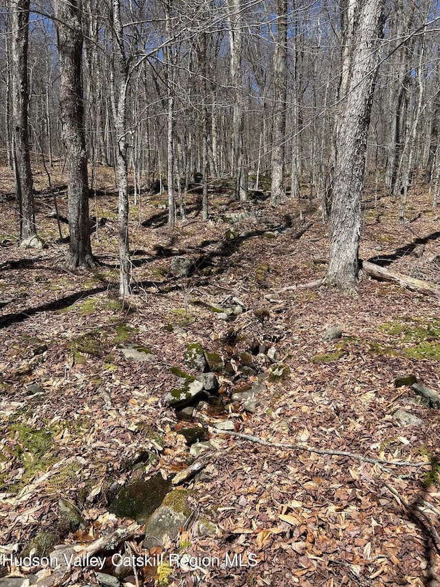 0 Frost Valley Rd, Claryville, NY 12725