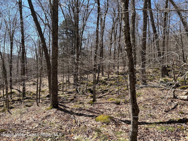0 Frost Valley Rd, Claryville, NY 12725