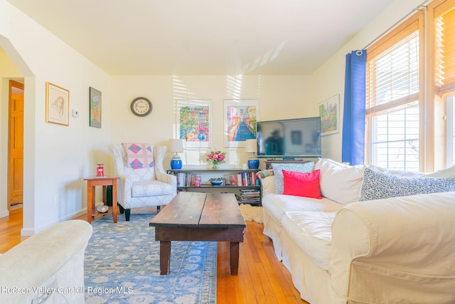 living area featuring baseboards, wood-type flooring, and arched walkways