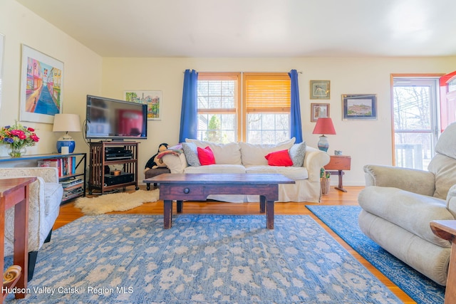 living area featuring baseboards and wood finished floors