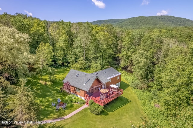 1063 Ferris Hill Rd, Roxbury, NY 12474 - view from above of property featuring a heavily wooded area and a mountainous background