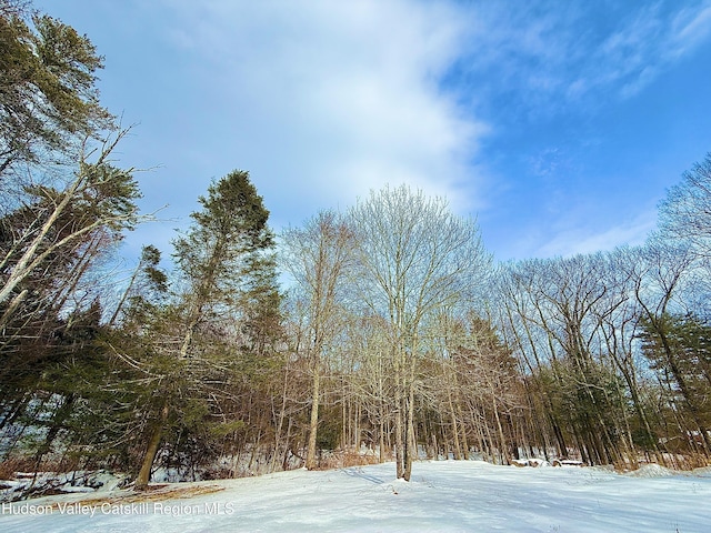 view of snowy view