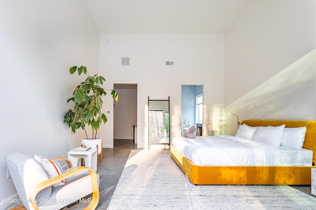120 Old Quarry Rd, Catskill, NY 12414 - bedroom with high vaulted ceiling and baseboards