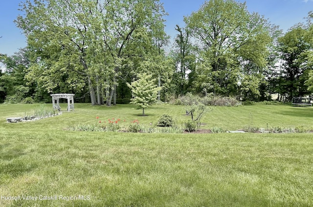55 Leggett Rd, Stone Ridge, NY 12484 - view of grassy yard
