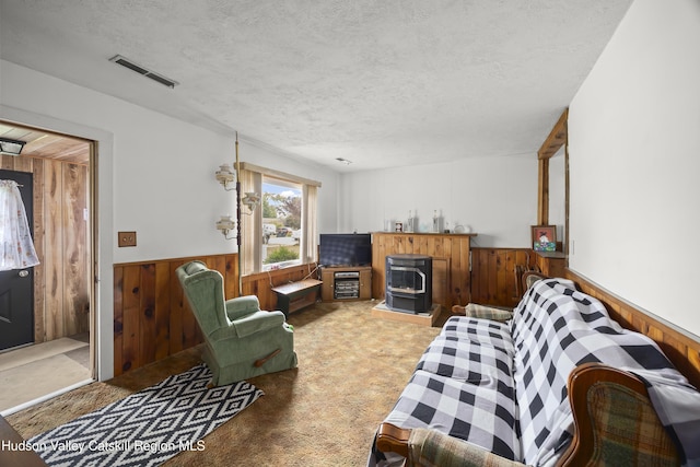 321 Lincoln Blvd, Hudson, NY 12534 - living area with wood walls, a textured ceiling, wainscoting, a wood stove, and carpet flooring