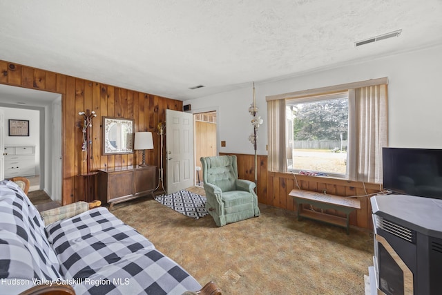 321 Lincoln Blvd, Hudson, NY 12534 - living area featuring wooden walls, carpet, a textured ceiling, and a wainscoted wall
