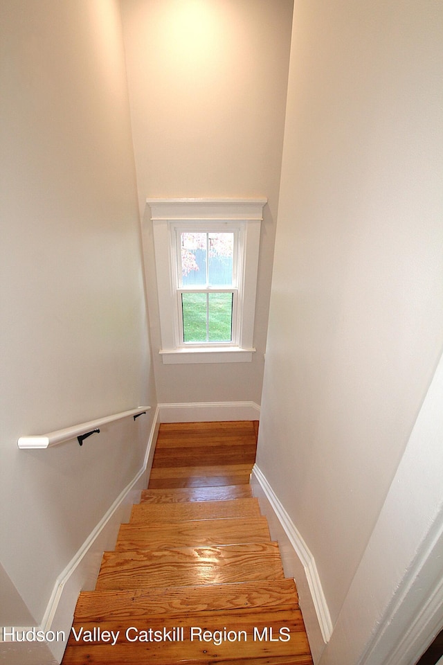 stairs featuring hardwood / wood-style floors