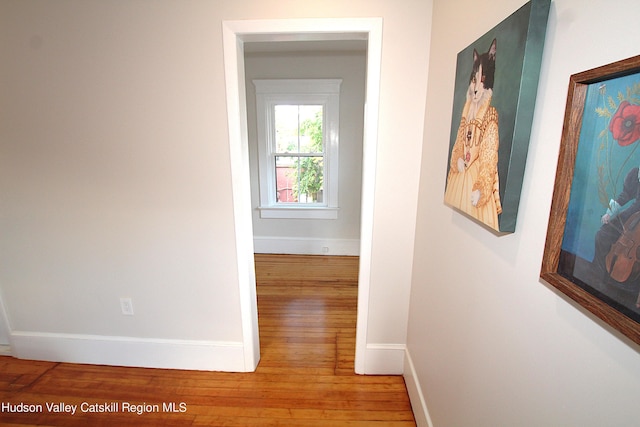 corridor featuring wood-type flooring