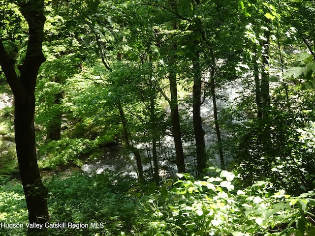 57 Main St, Philmont, NY 12565 - photo 2