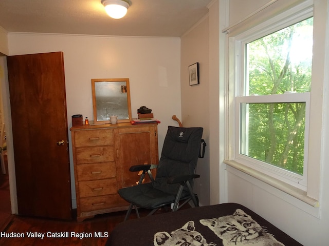 57 Main St, Philmont, NY 12565 - photo 16