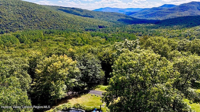 bird's eye view featuring a mountain view