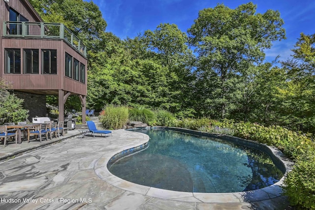 view of pool featuring a patio area