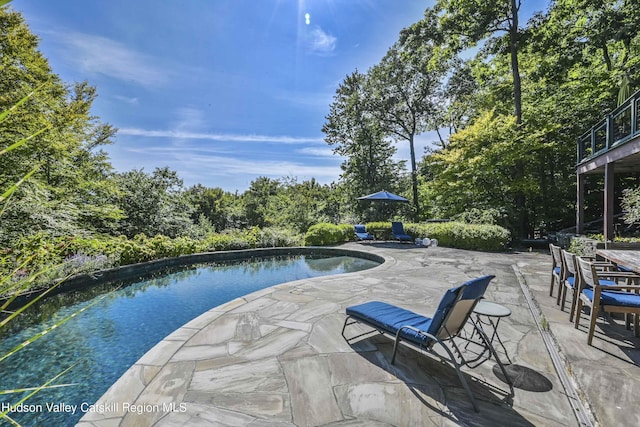 view of swimming pool featuring a patio