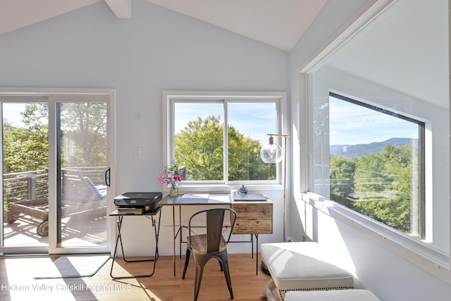 sunroom with vaulted ceiling