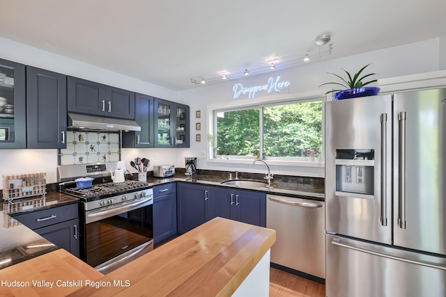 kitchen with blue cabinets, sink, appliances with stainless steel finishes, and light hardwood / wood-style flooring