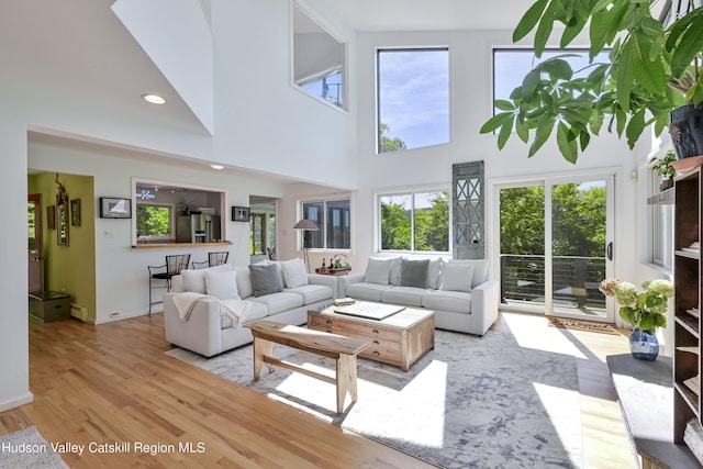 living room with high vaulted ceiling, light hardwood / wood-style floors, and a baseboard heating unit