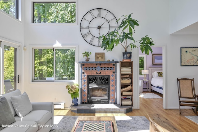 living room featuring light hardwood / wood-style floors, baseboard heating, and a healthy amount of sunlight