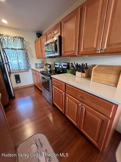 45 Windham Ridge Rd Unit 15C, Windham, NY 12496 - kitchen with appliances with stainless steel finishes, dark wood-style flooring, recessed lighting, light countertops, and baseboards