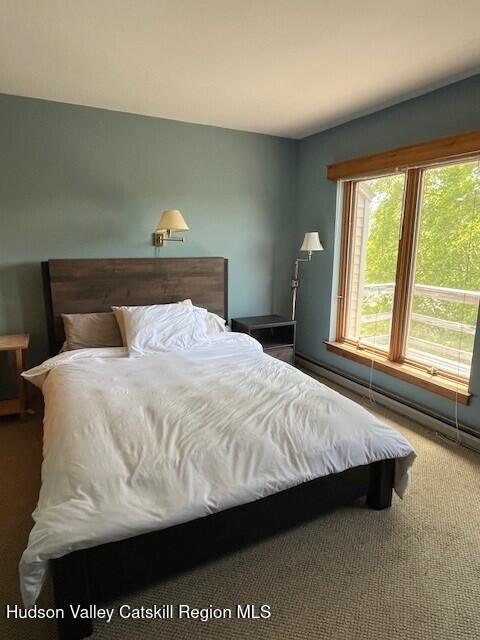 45 Windham Ridge Rd Unit 15C, Windham, NY 12496 - view of carpeted bedroom