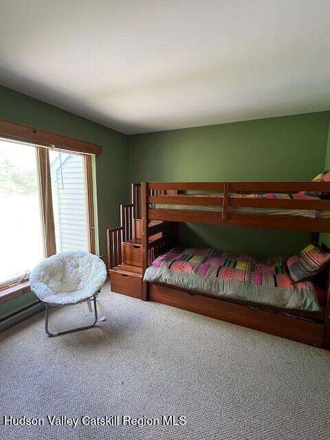 45 Windham Ridge Rd Unit 15C, Windham, NY 12496 - bedroom featuring carpet flooring