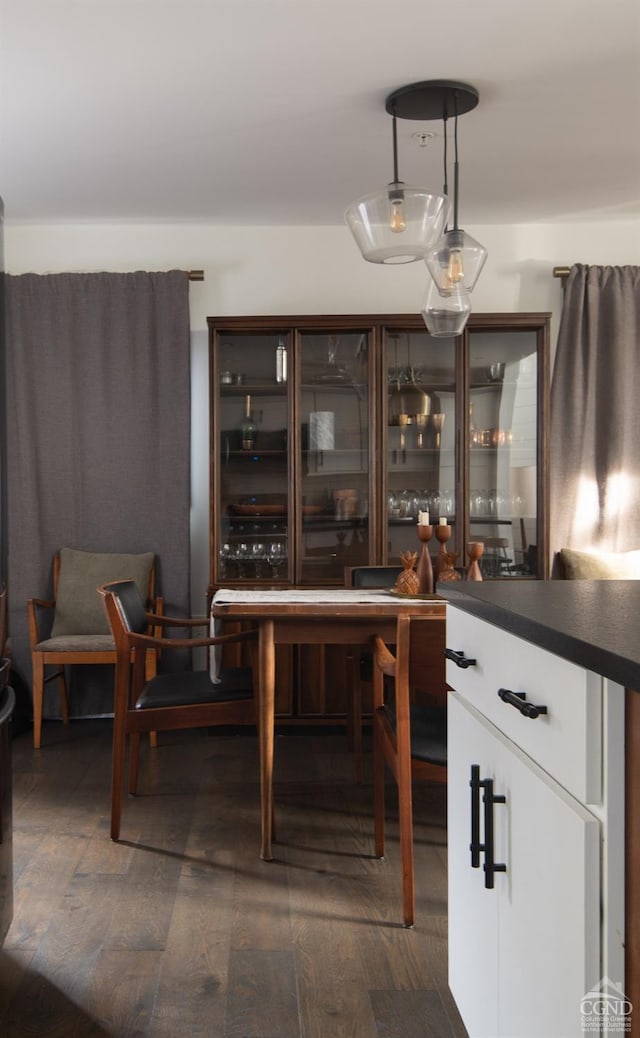 352 Columbia St, Hudson, NY 12534 - bar area featuring dark wood-style flooring and pendant lighting