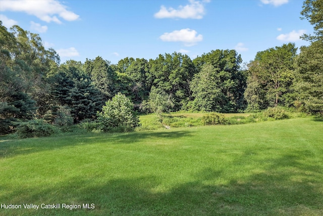 172 Shields Rd, Red Hook, NY 12571 - view of green lawn