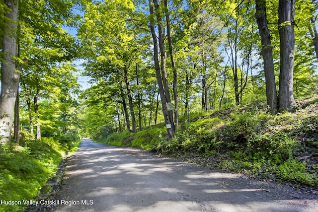 172 Shields Rd, Red Hook, NY 12571 - view of asphalt street