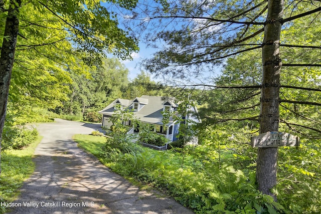 172 Shields Rd, Red Hook, NY 12571 - view of front of house featuring driveway and a view of trees