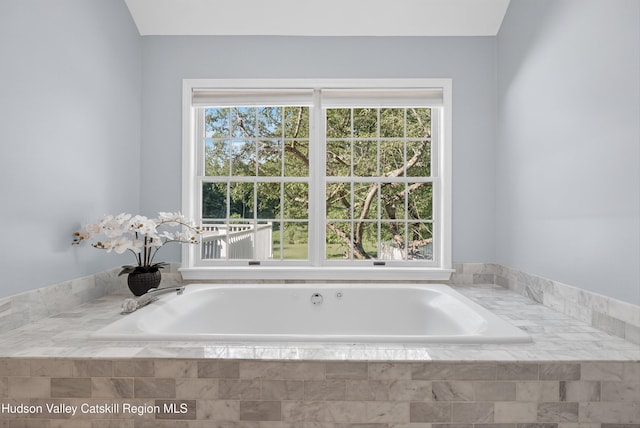 172 Shields Rd, Red Hook, NY 12571 - bathroom featuring healthy amount of natural light and a bath