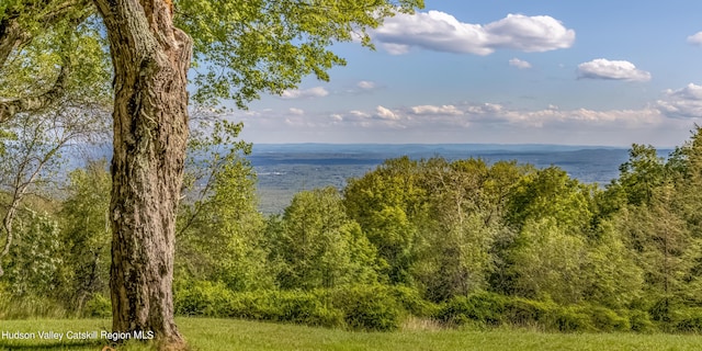 water view featuring a view of trees