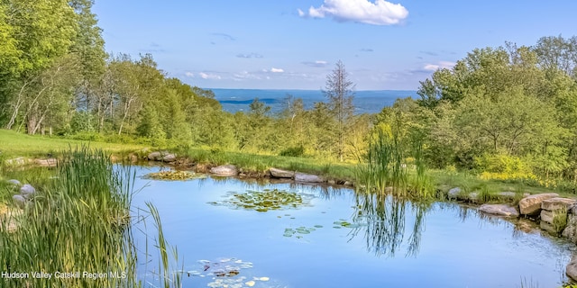 property view of water with a forest view
