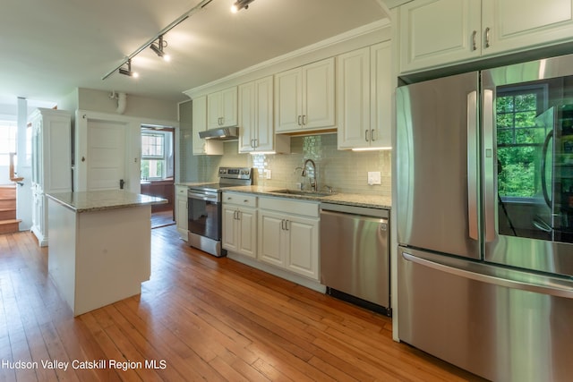 kitchen with under cabinet range hood, light wood finished floors, a sink, and stainless steel appliances