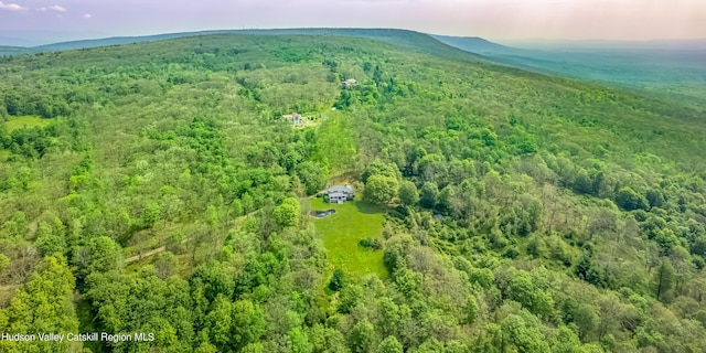 bird's eye view with a mountain view and a forest view