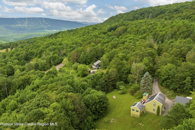 50 Halcott Ridge Rd, Pine Hill, NY 12441 - photo 5