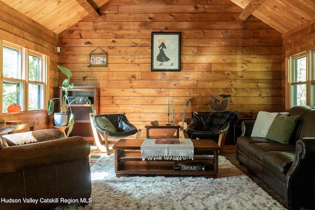 88 S Durham Estates Rd, Cairo, NY 12405 - living room with wooden ceiling and wooden walls