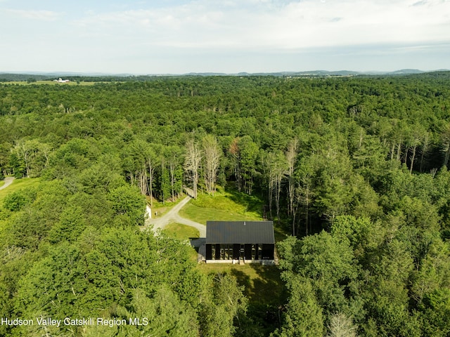 586 Perry Rd, Bethel, NY 12783 - photo 33