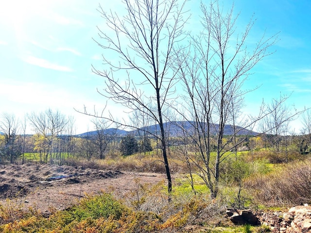 15 Meadow Ln, Jewett, NY 12444 - photo 5