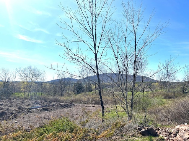 15 Meadow Ln, Jewett, NY 12444 - photo 7
