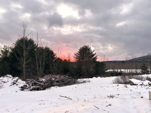 15 Meadow Ln, Jewett, NY 12444 - photo 11