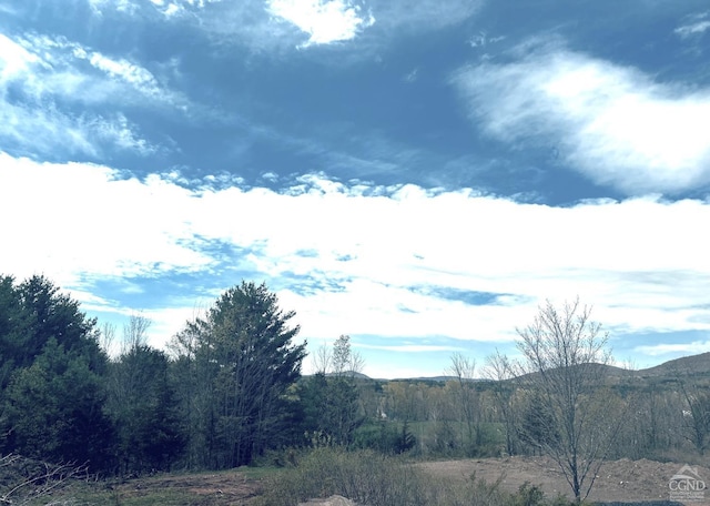 15 Meadow Ln, Jewett, NY 12444 - photo 4