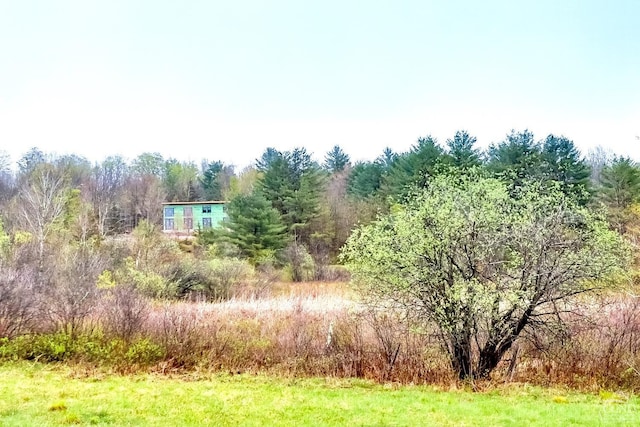 15 Meadow Ln, Jewett, NY 12444 - photo 14