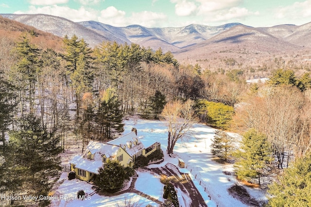 property view of mountains