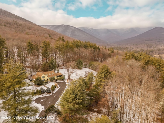 property view of mountains