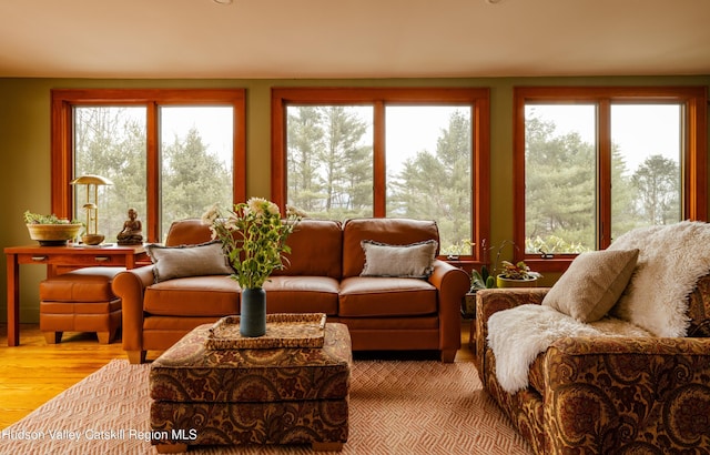 living room with hardwood / wood-style flooring and plenty of natural light