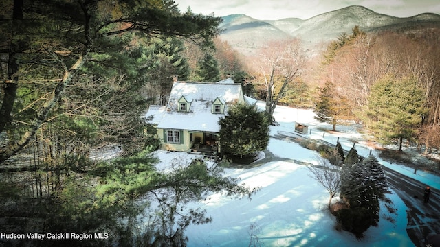 birds eye view of property with a mountain view