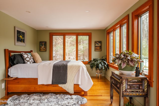 bedroom with light hardwood / wood-style flooring