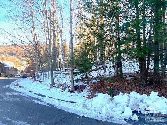 0 Winter Close Ct, Windham, NY 12496