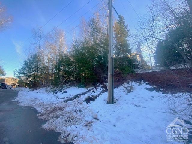 0 Winter Close Ct, Windham, NY 12496