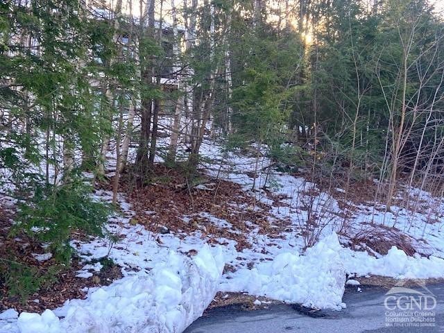 0 Winter Close Ct, Windham, NY 12496